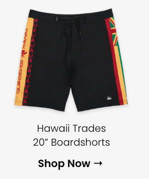 Hawaii Trades 20" Boardshorts
