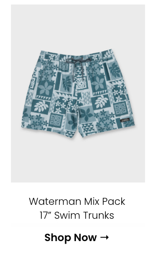 Waterman Mix Pack 17" Swim Trunks
