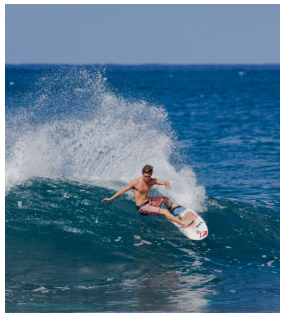 Sun Dial 19" Boardshorts