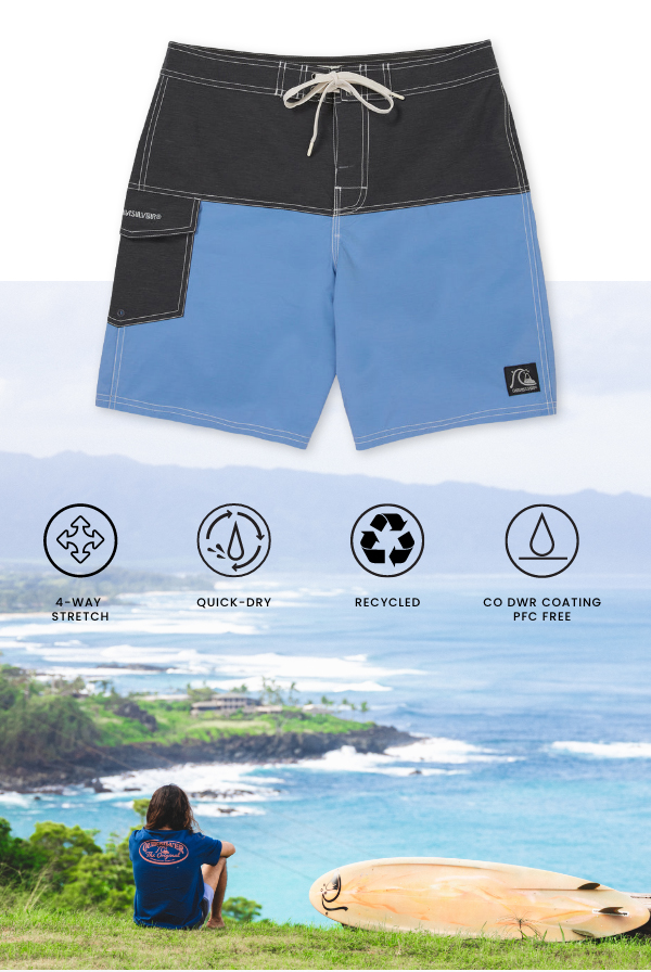 Original Blocked 19" Boardshorts