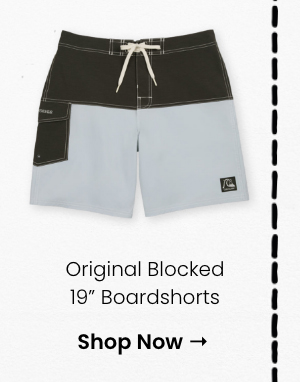 Original Blocked 19" Boardshorts