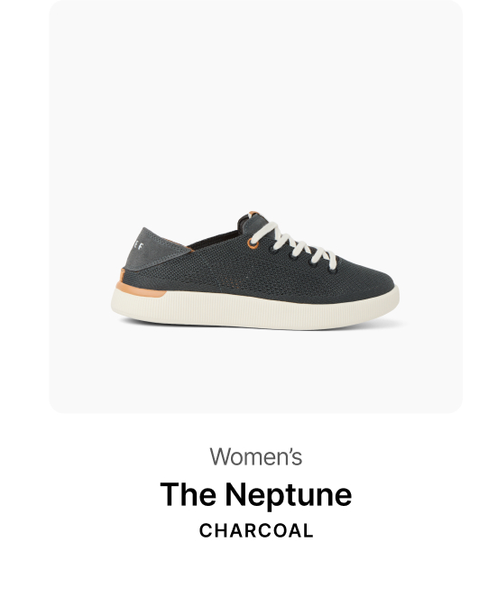 Neptune Charcoal