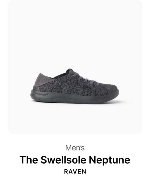 Neptune Raven