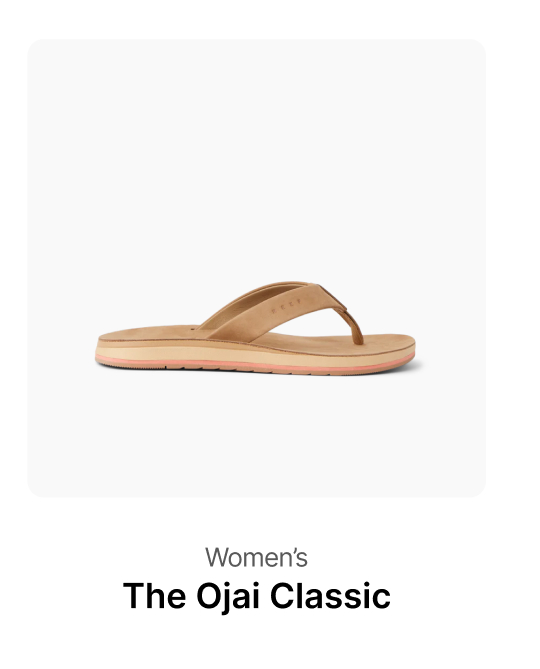 Ojai Classic Starfish