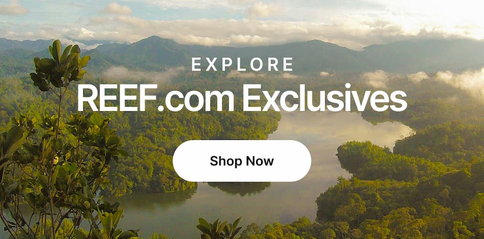 Explore REEF.com Exclusives