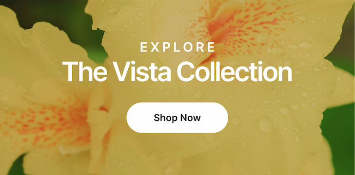 Explore The Vista Collection