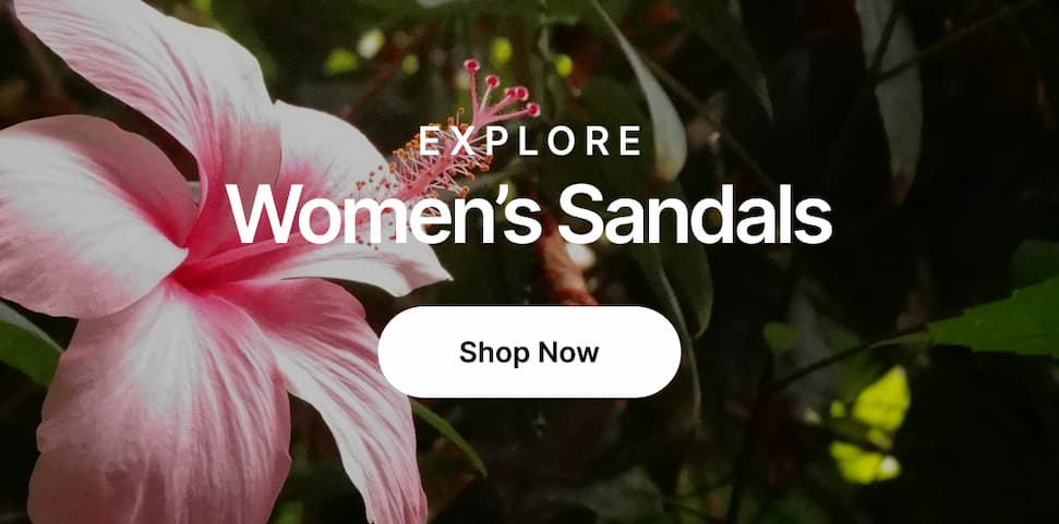 Need sandals? We've got you covered. Check out all Women's New Arrivals at REEF