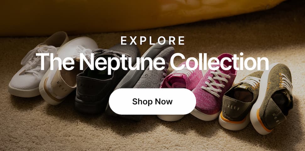 Explore Neptune for the whole fam at REEF