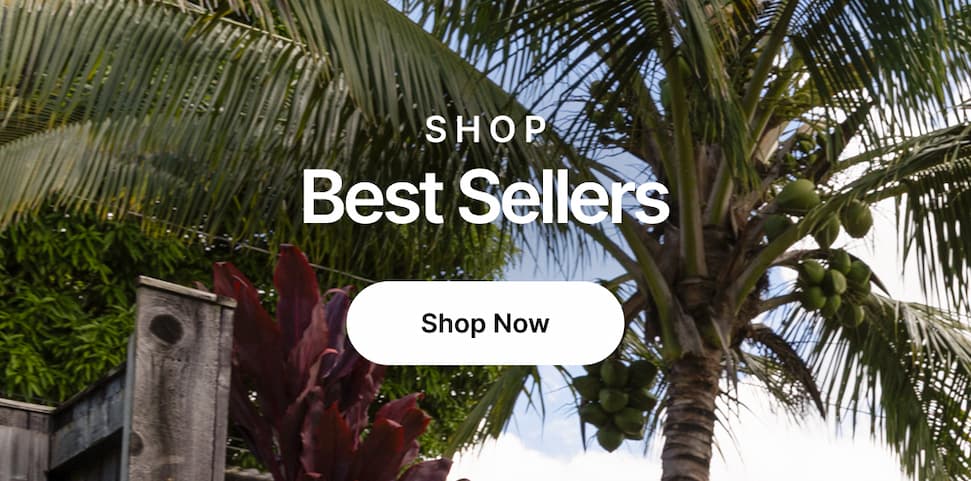 Shop all Men's Best Sellers here! New sandals and shoes selling fast, grab your pair before they're gone for good!