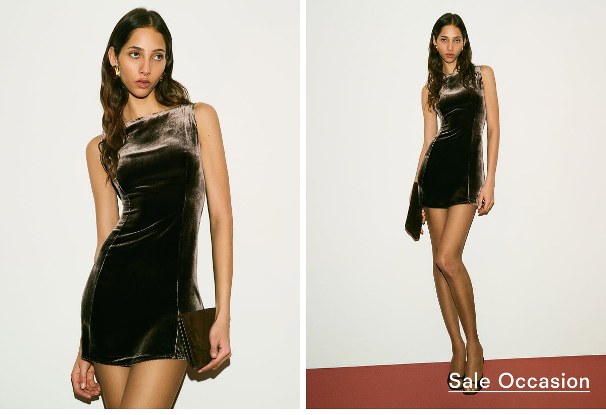 Sale Occasion