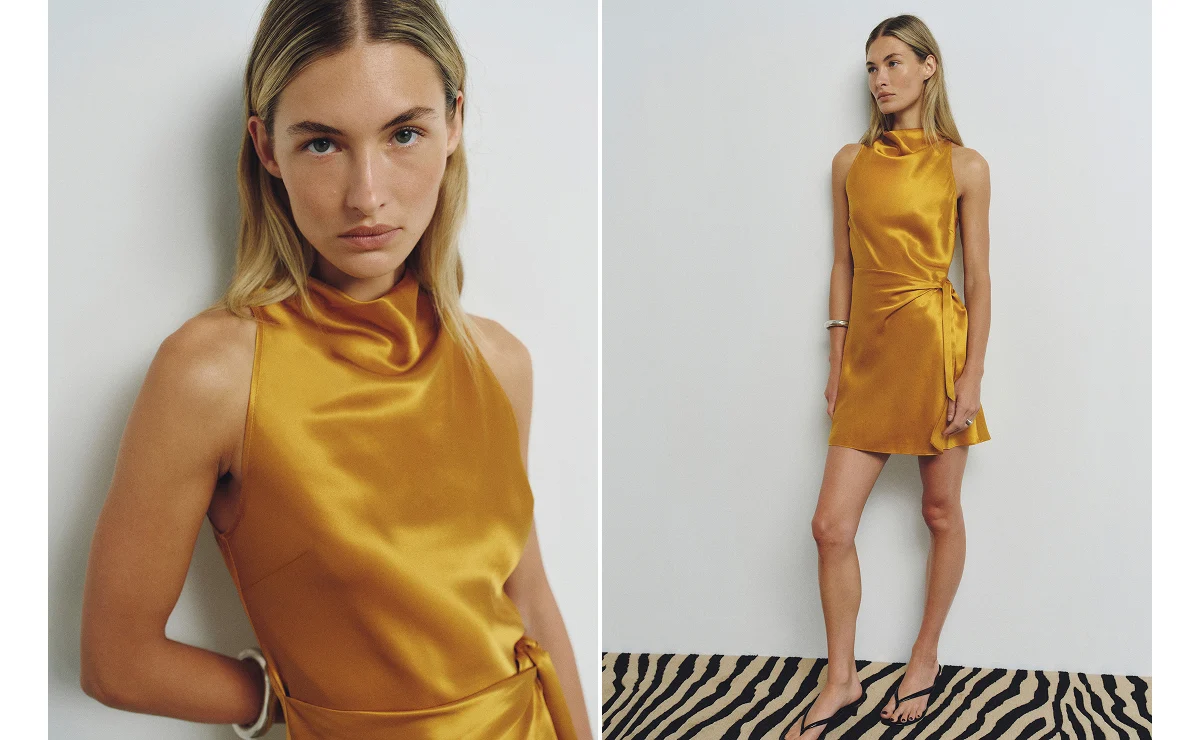Stelliana Silk Dress