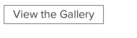 View the Gallery