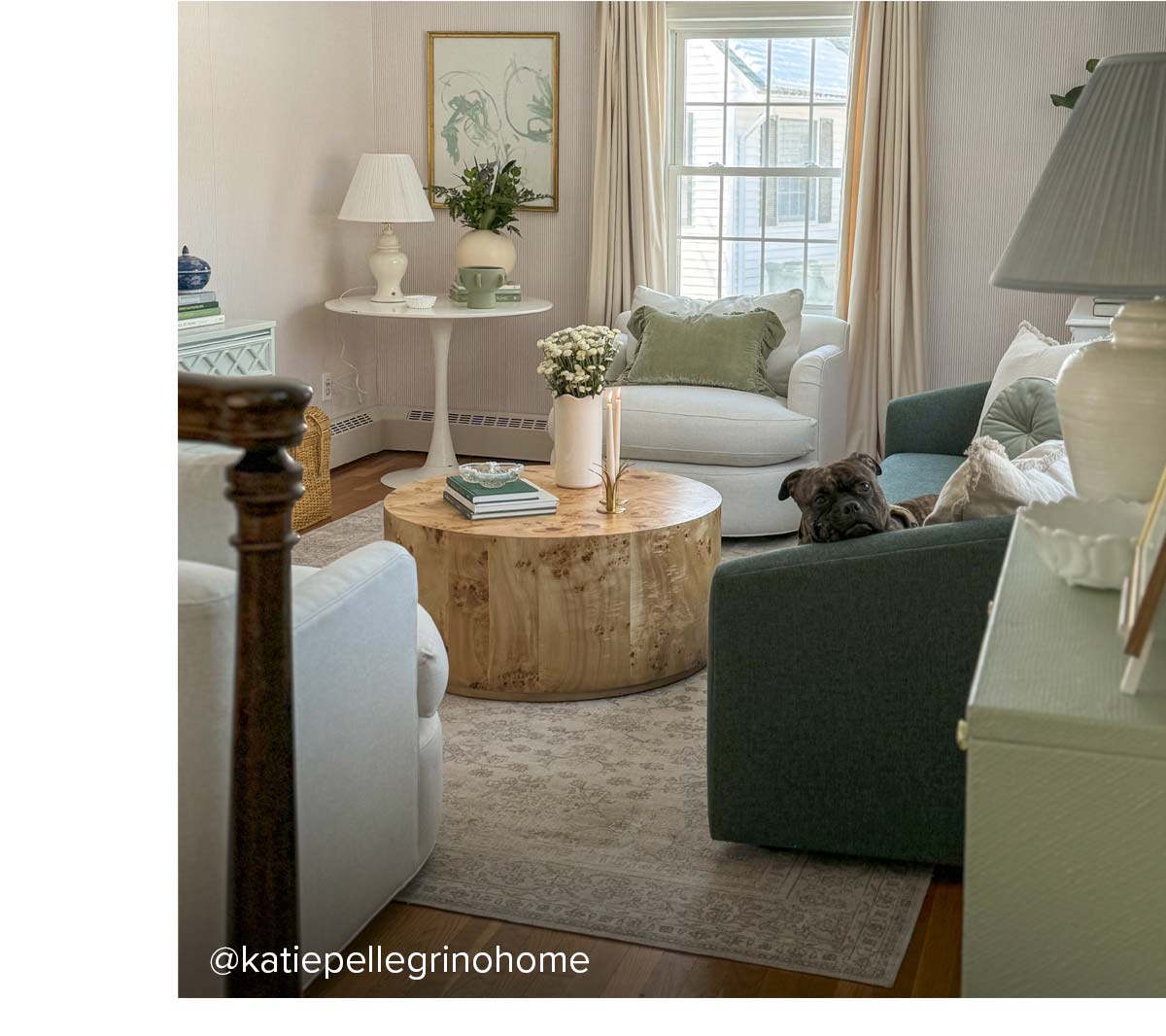 Living room with burl wood coffee table, sage and white seating, and dog resting on green sofa.
