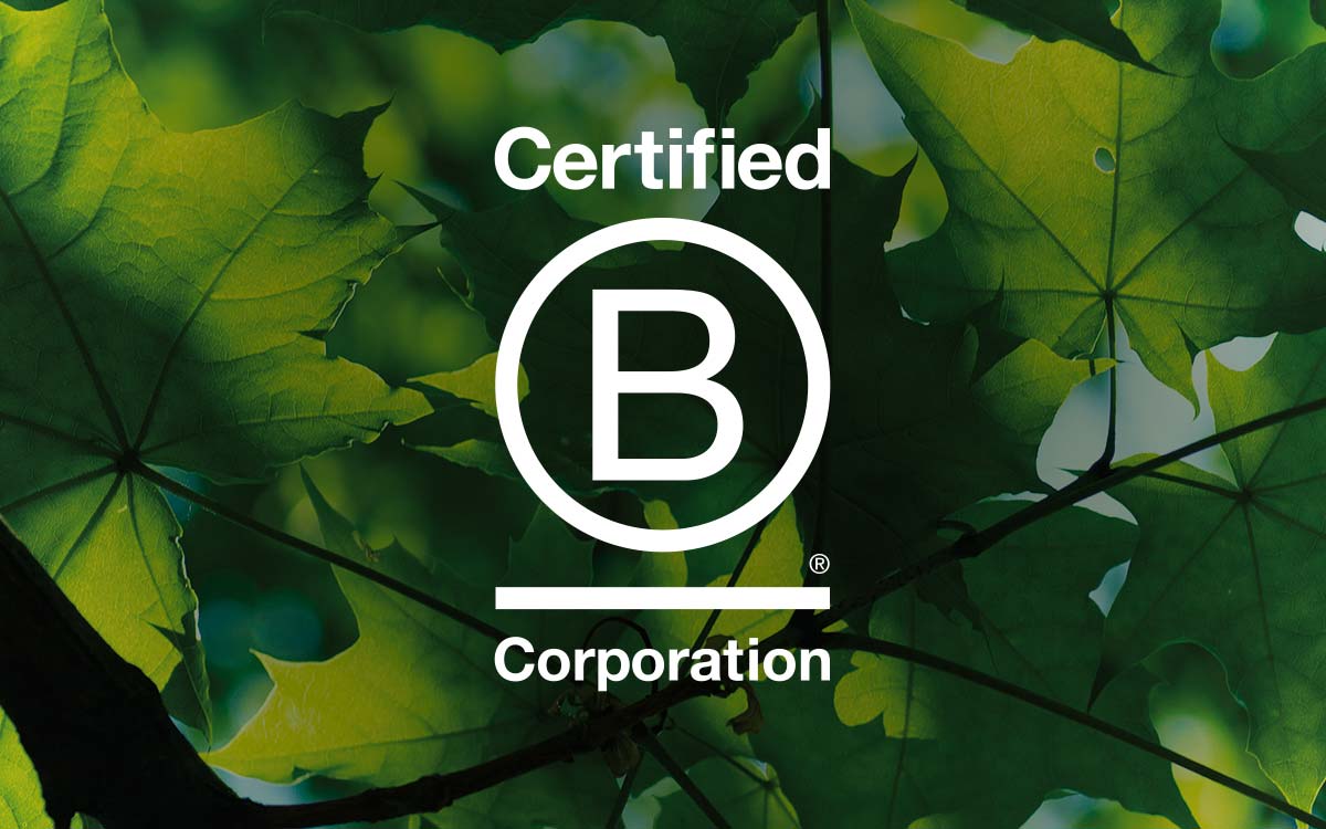 Certified B Corporation logo displayed over green leaves and branches.