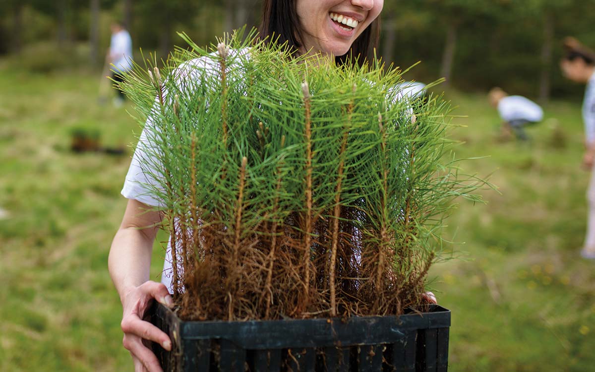 Person smiling while holding a box filled with seedlings in a field.