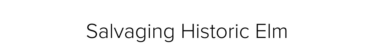 Salvaging Historic Elm