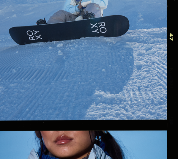 Shop the Collection