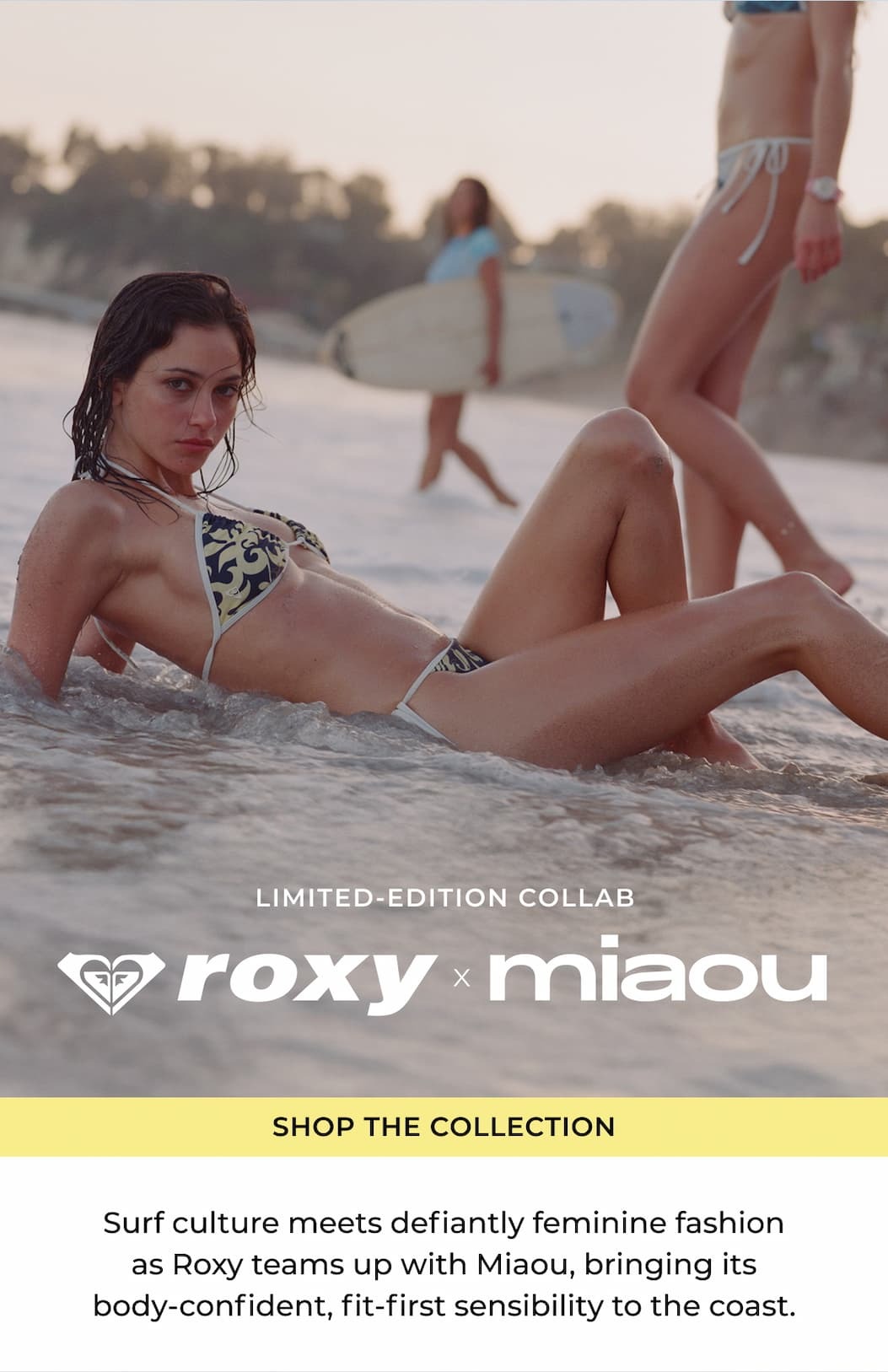 roy-x-miaou