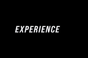EXPERIENCE