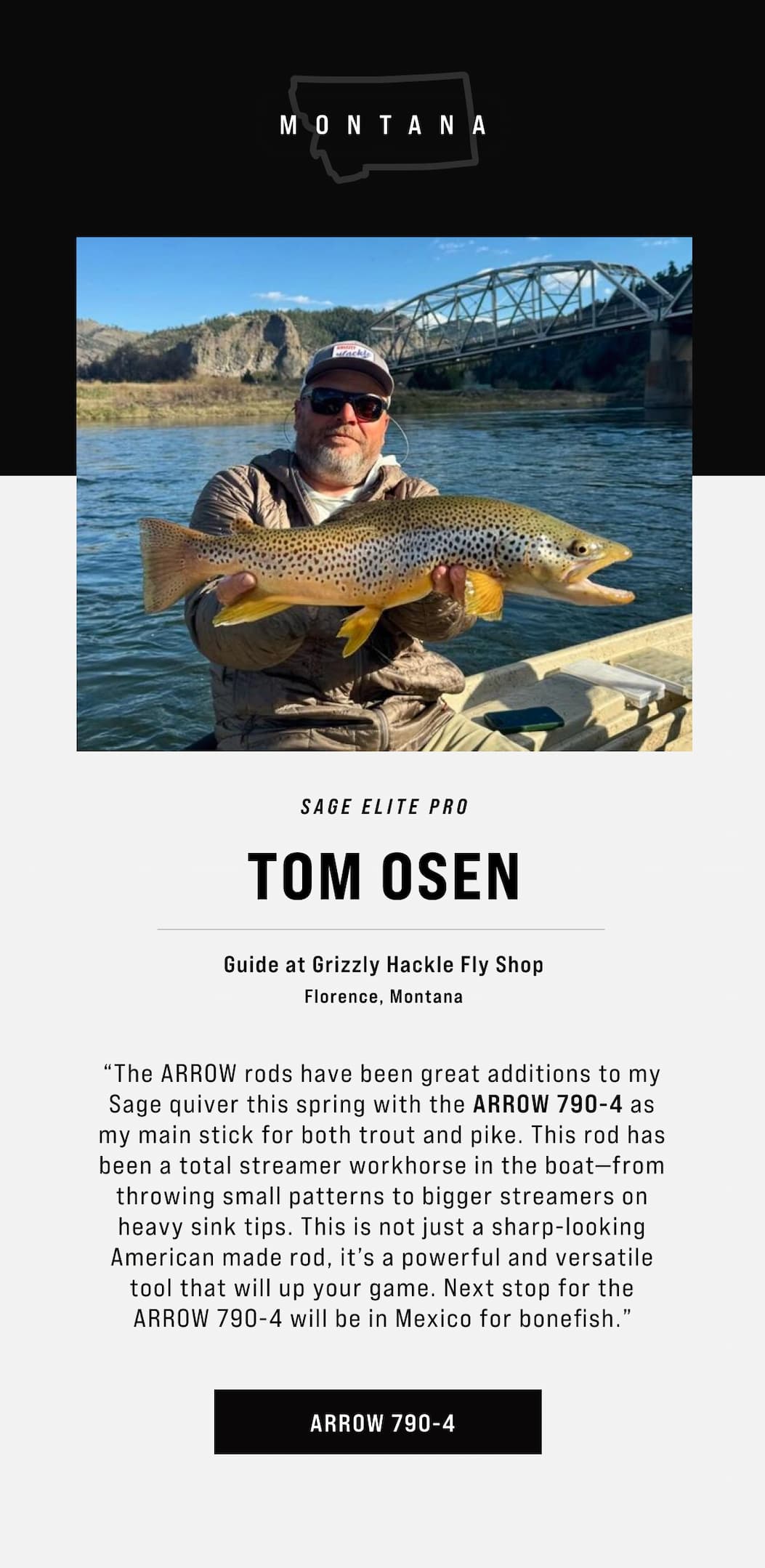 Shop the Sage Arrow 790-4