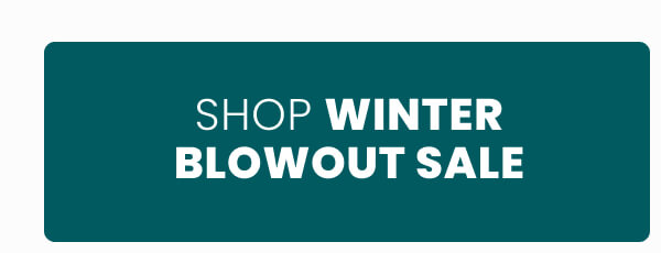 Winter blowout sale