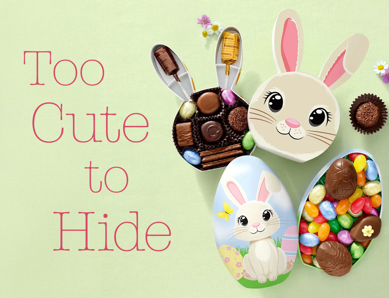 Too Cute to Hide - Hoppy Bunny Box and Easter Treasure Egg