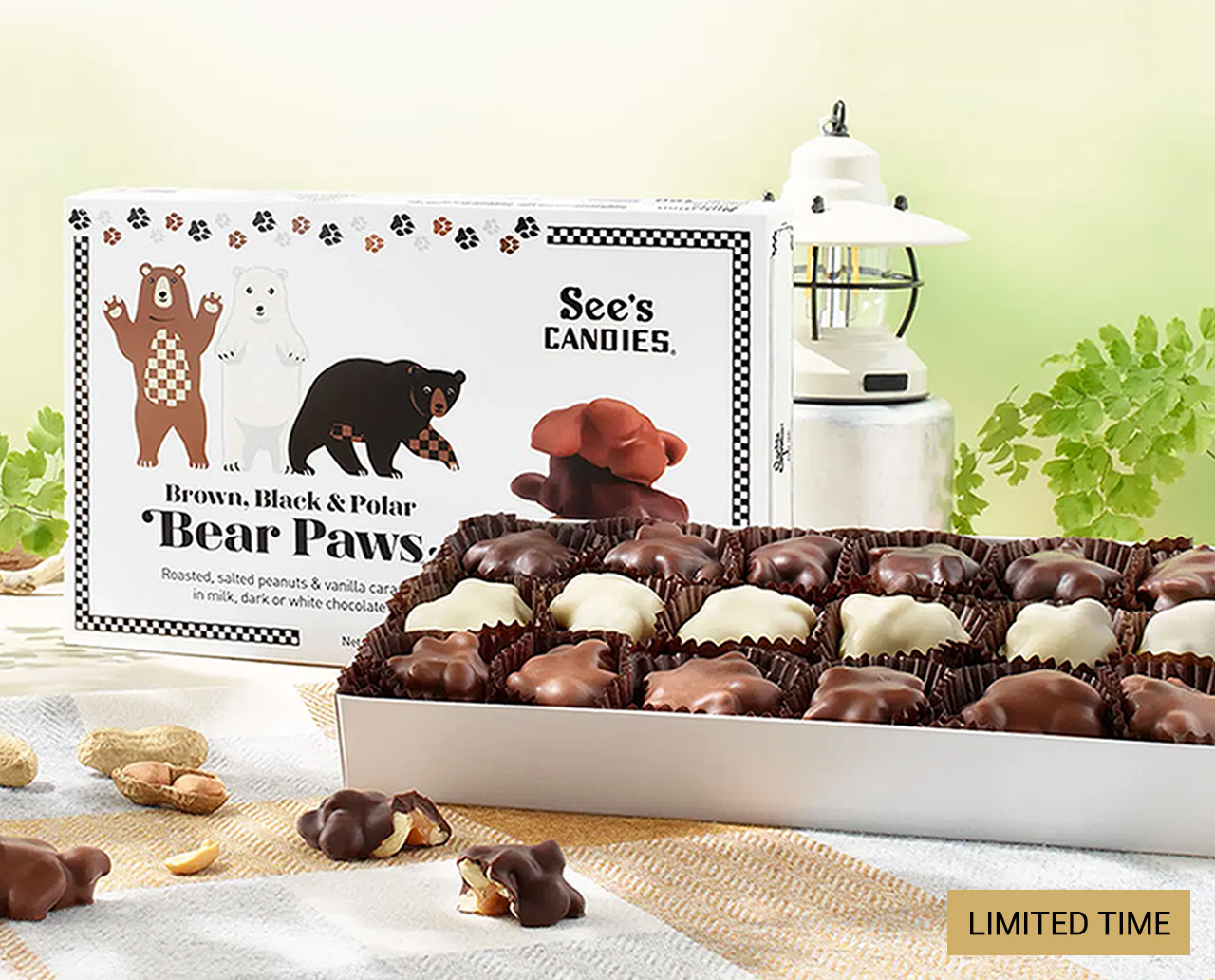 Limited Time: Black, Brown and Polar Bear Paws®