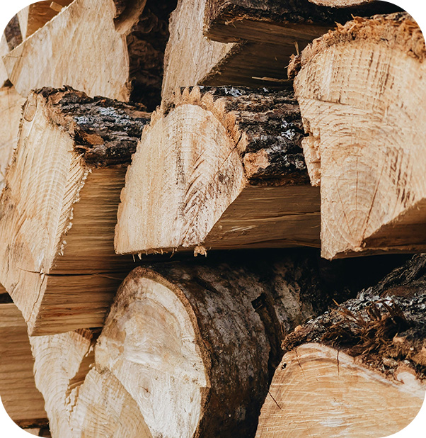 Shop Umbria Wood Candle