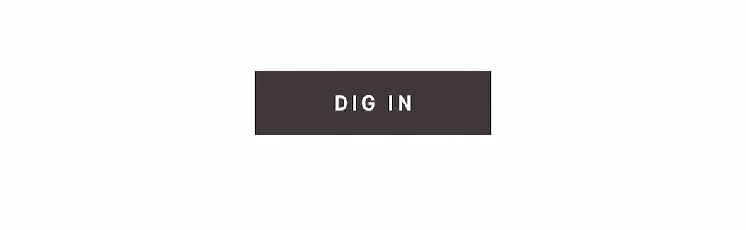 DIG IN