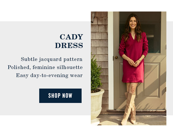 Shop The Cam brrr°® Stripe Dress