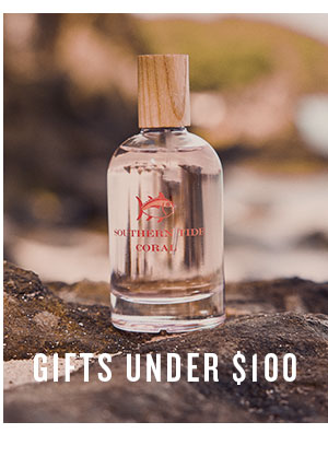 Gifts under $100.