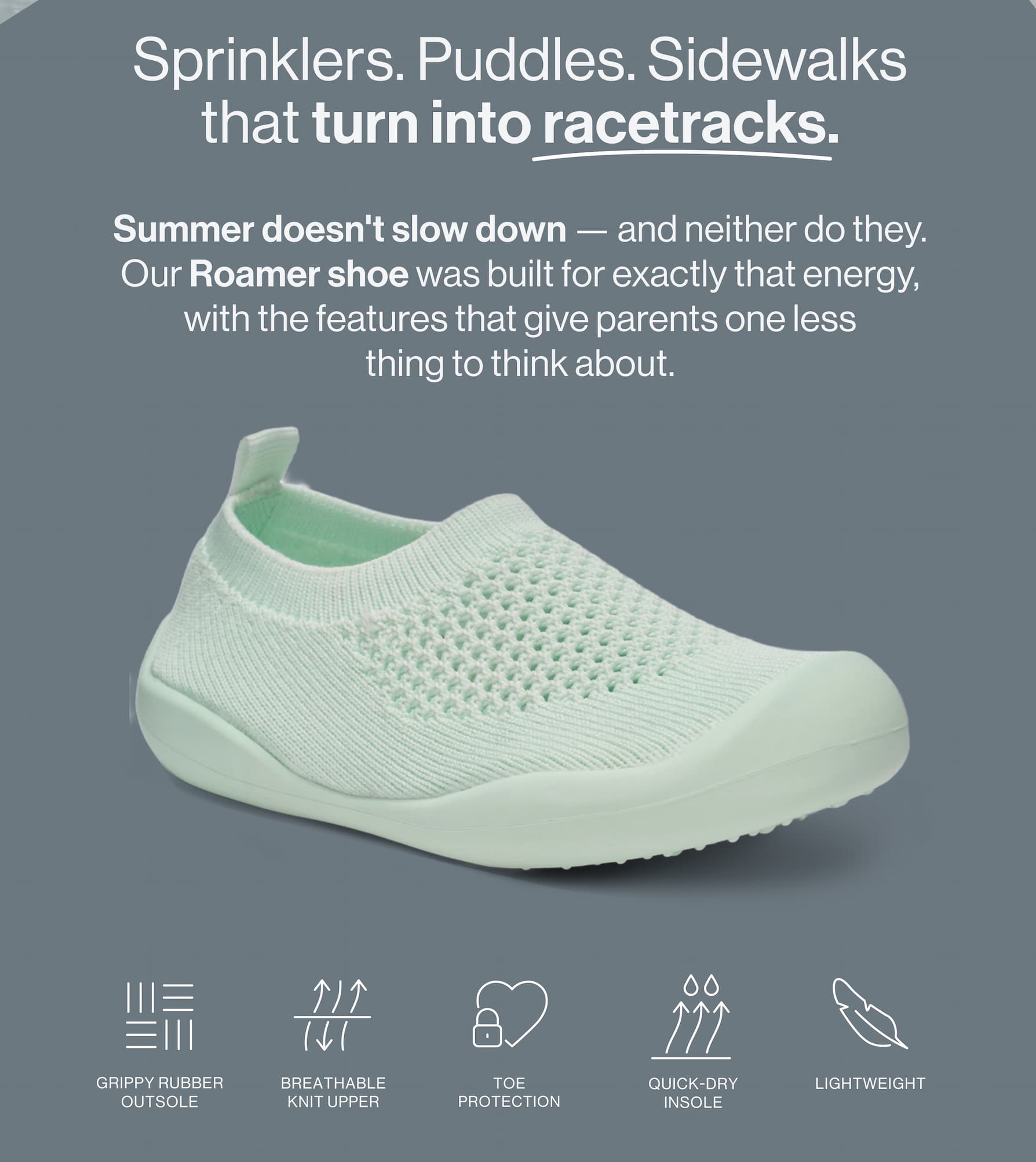 Shop Roamer