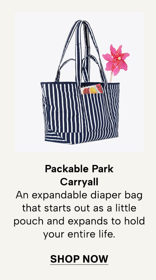 Packable Park Carryall