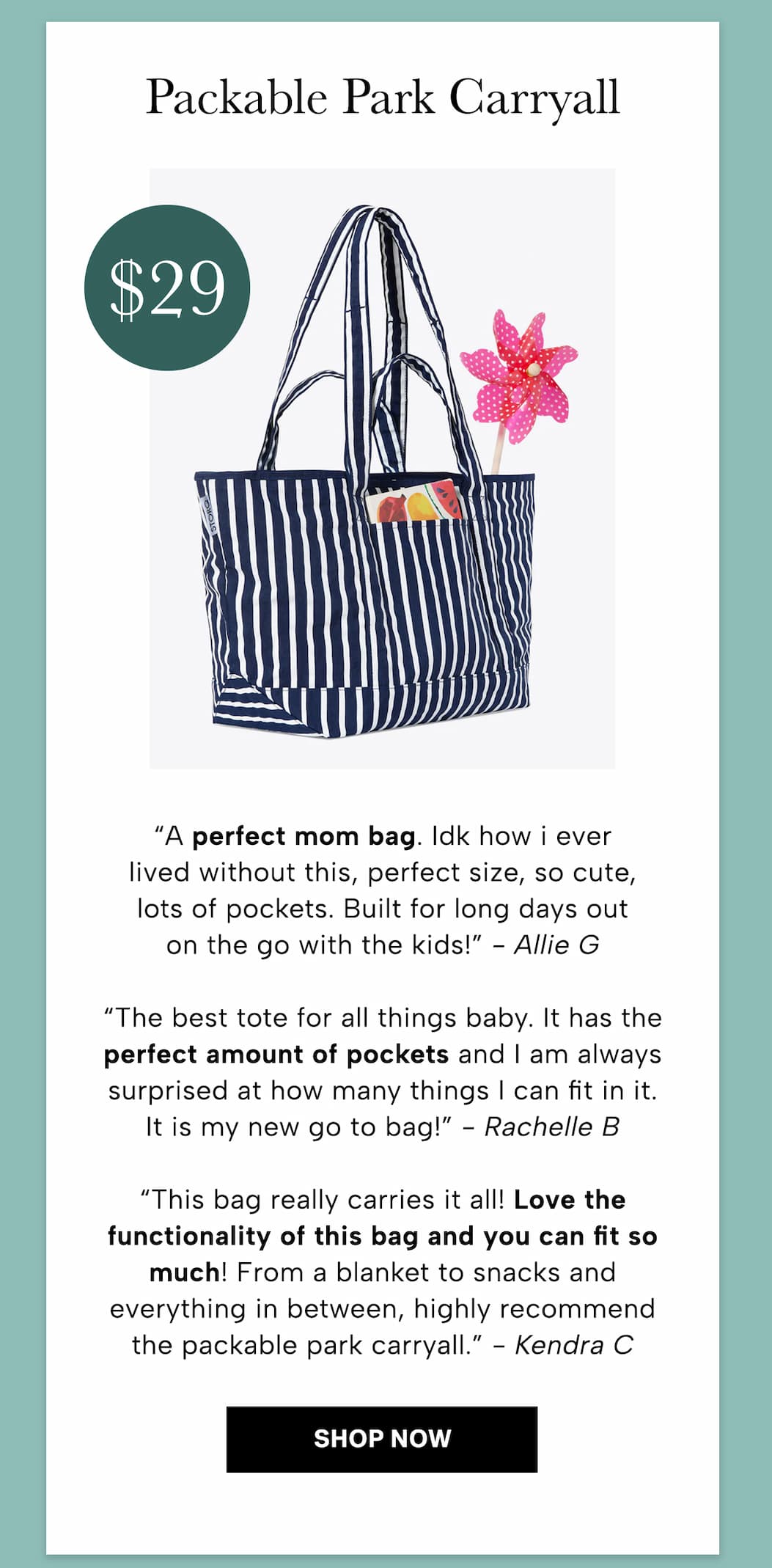 Packable Park Carryall $26