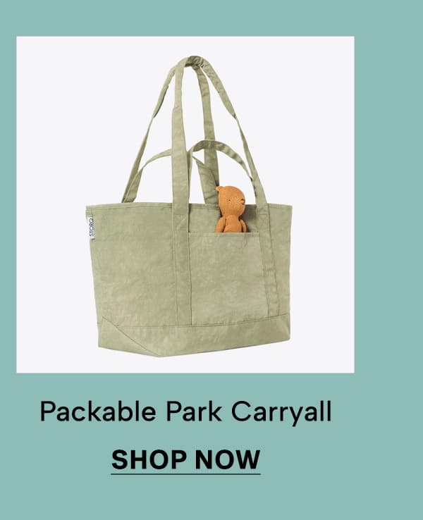 Packable Park Carryall