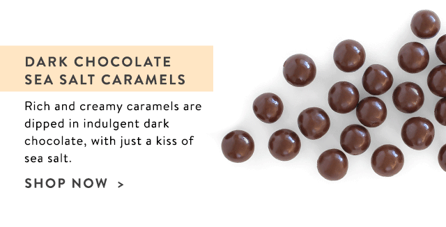 Shop Dark Chocolate Sea Salt Caramels