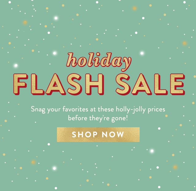 Shop Our Holiday Flash Sale! 