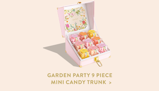 Garden Party 9 Piece Mini Candy Trunk