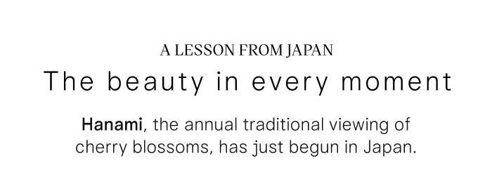 A Lesson from Japan: The Beauty in Every Moment. The annual tradition of viewing cherry blossoms, known as Hanami, has just begun in Japan.