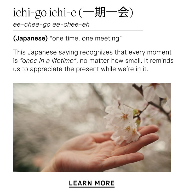 ichi-go ichi-e “one time, one meeting”  This Japanese saying recognizes that every moment is “once in a lifetime,” no matter how small. It reminds us to appreciate the present while we’re in it. Learn More