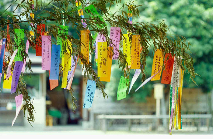An image of wishes hanging from a branch in celebration of the Japanese annual festival called Tanabata.