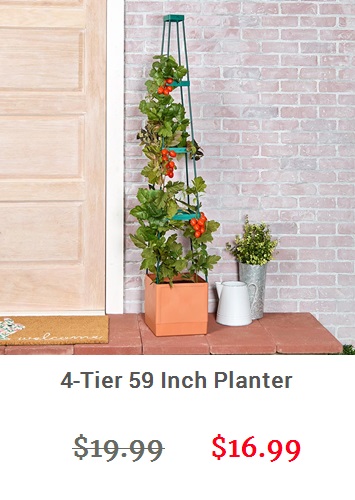 View product recommended for you