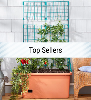 top sellers