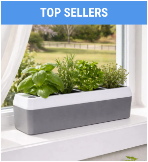 top sellers