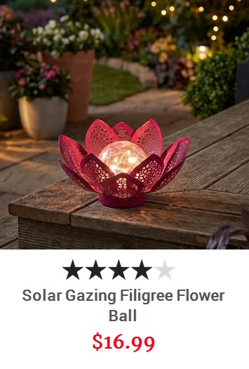 View product recommended for you