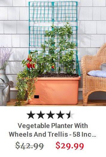 View product recommended for you