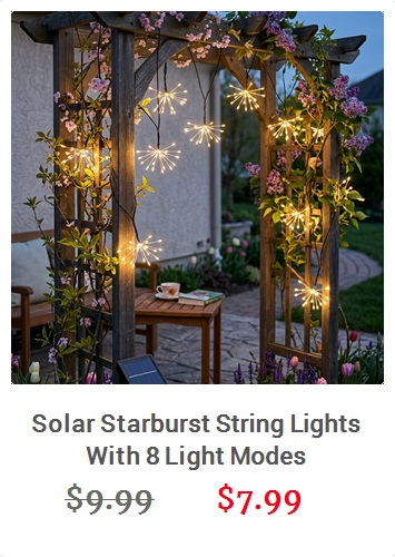 View product recommended for you