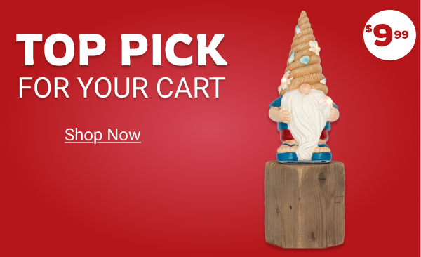 Coastal Lighted Seaside Gnome Décor