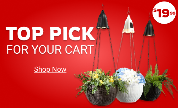 Solar Lighted Hanging Basket Planter