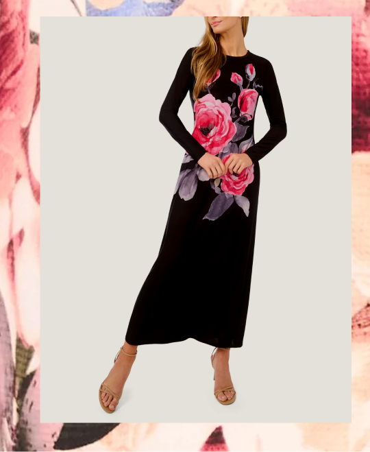 ELOISE Long Sleeve Maxi Dress